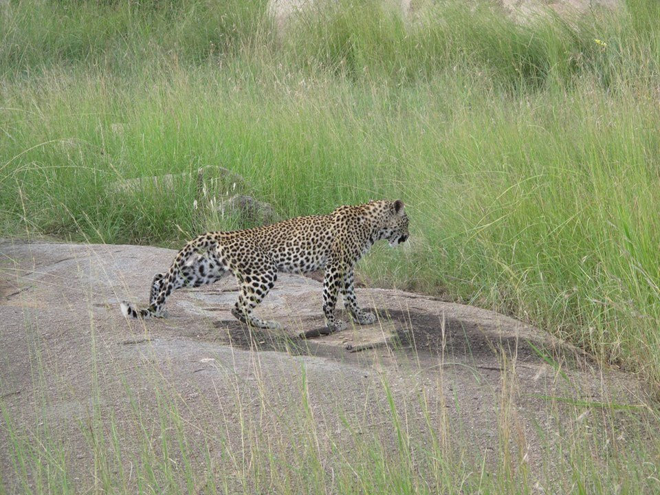 New Adventure Safaris-阿鲁沙必去景点