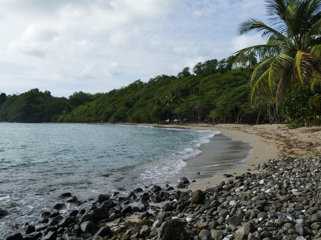 L'anse Azerot-Sainte Marie必去景点