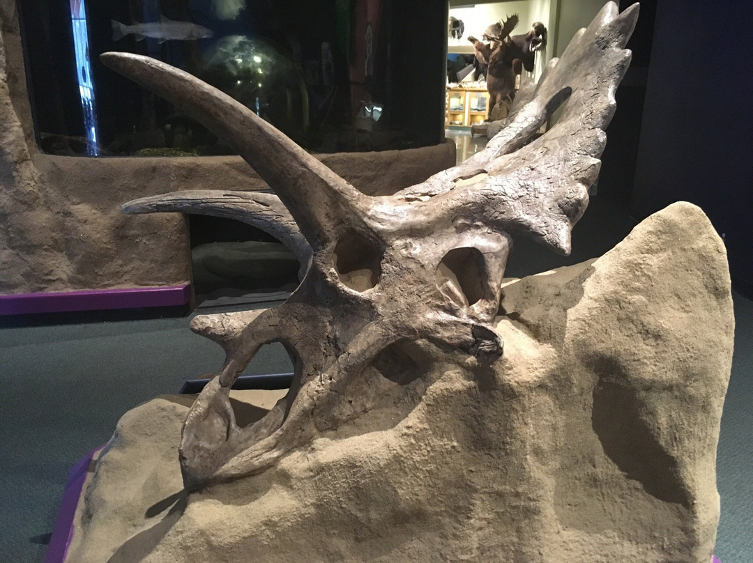 The Exploration Place Museum & Science Centre-乔治王子城必去景点