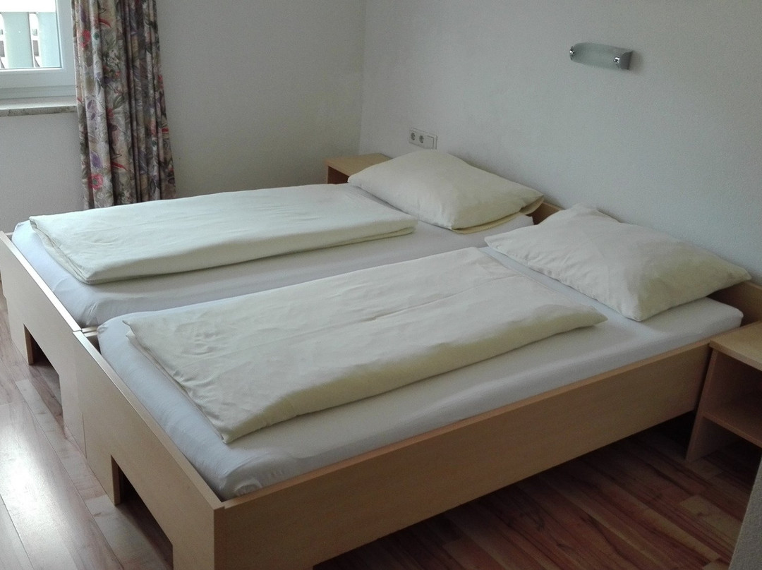 Hotel Dollinger主图