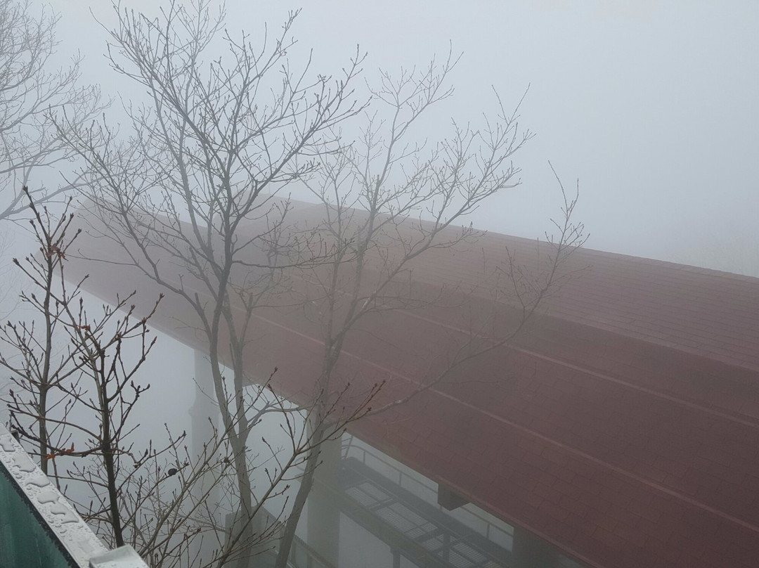 Sillimbong Peak-大邱必去景点