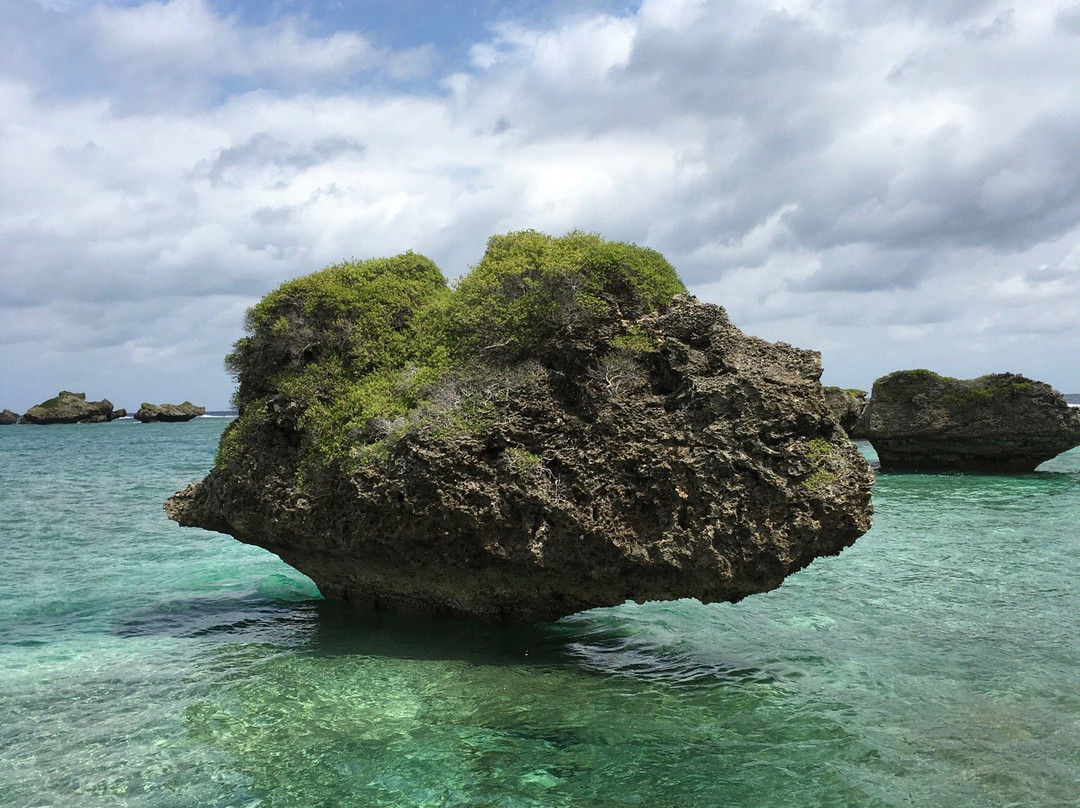 Ogami Island景点图片
