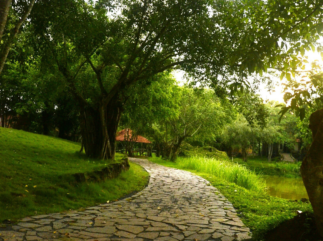 Khu Du Lich Sinh Thai Cao Minh景点图片