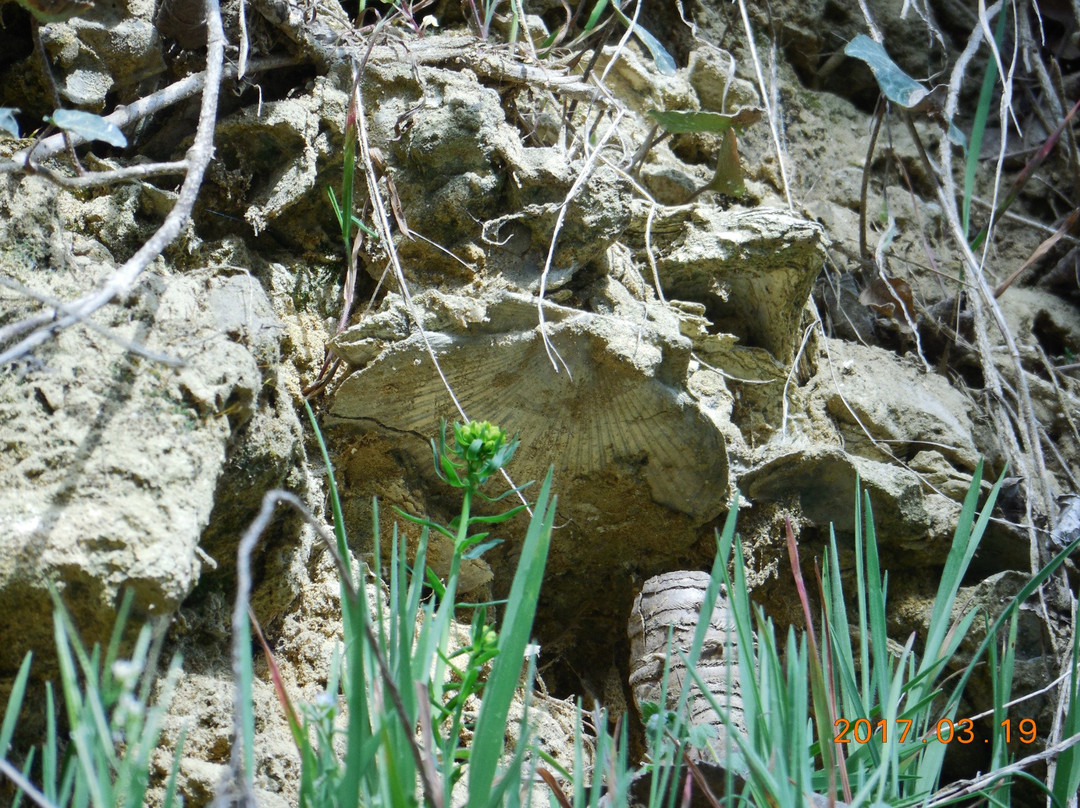 Riserva naturale  speciale di Valleandona, Valle Botto, Valle Grande景点图片