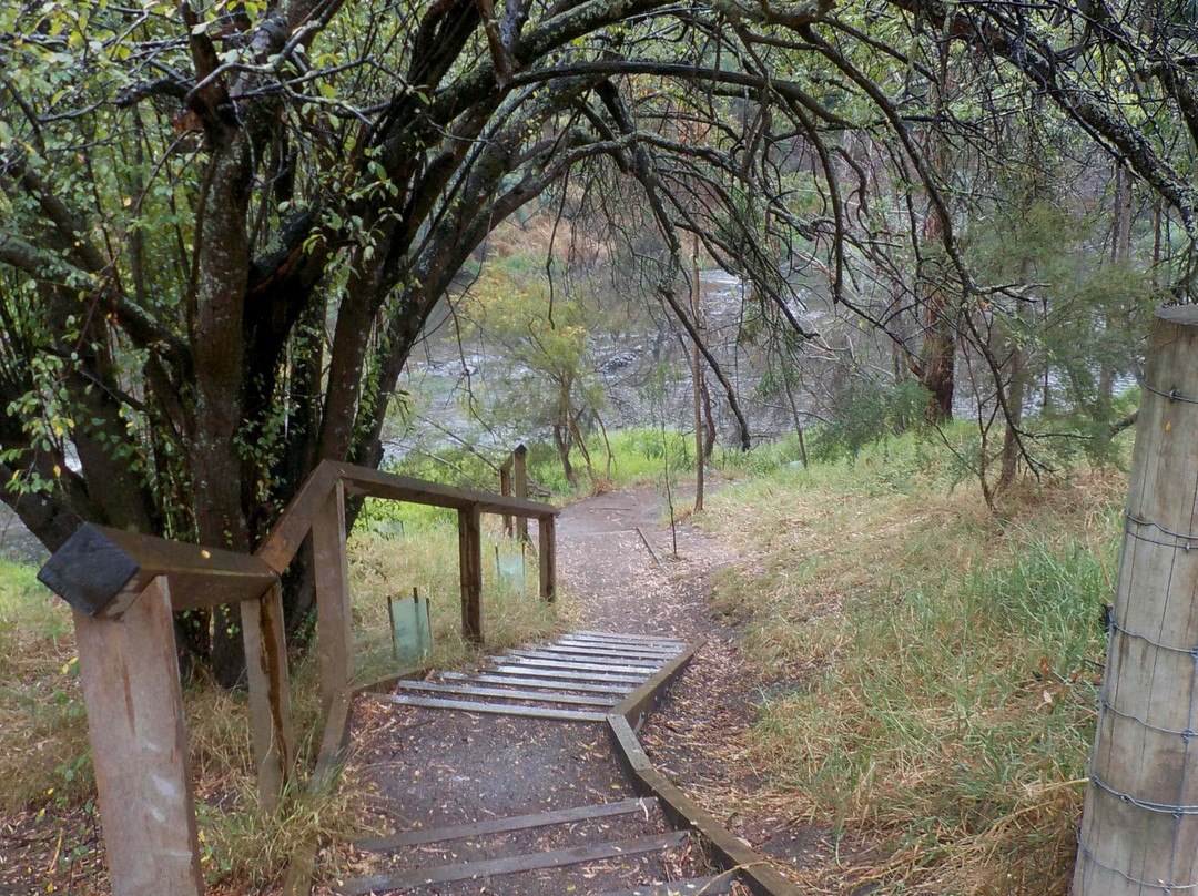 Warrandyte River Reserve景点图片