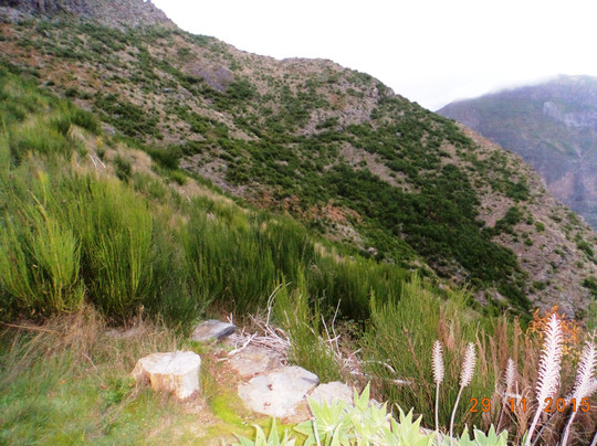 Madeira's Magic Tours-沙尔必去景点