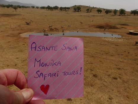 Monika Tours & Safaris-迪亚尼必去景点
