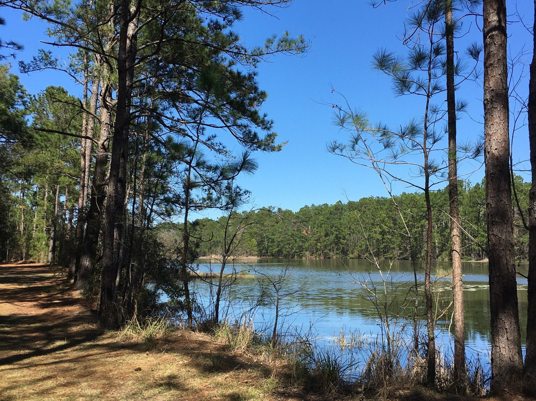 Sergeant Jasper County Park景点图片