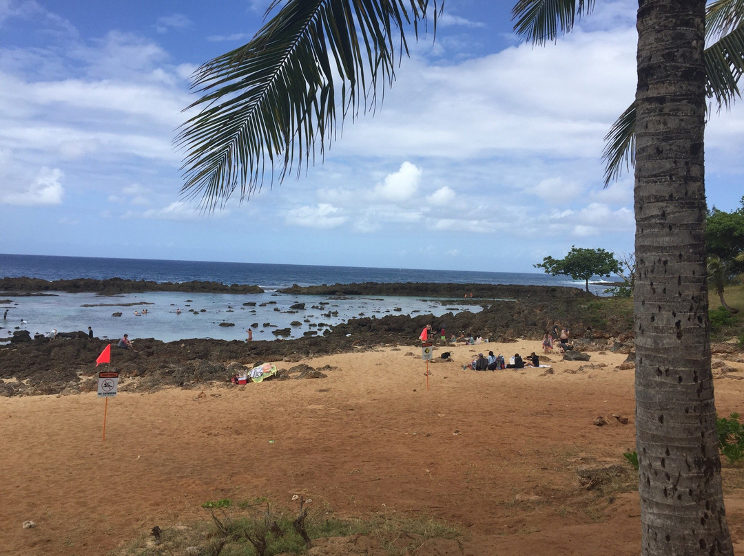 Waialua Bay-哈雷瓦必去景点