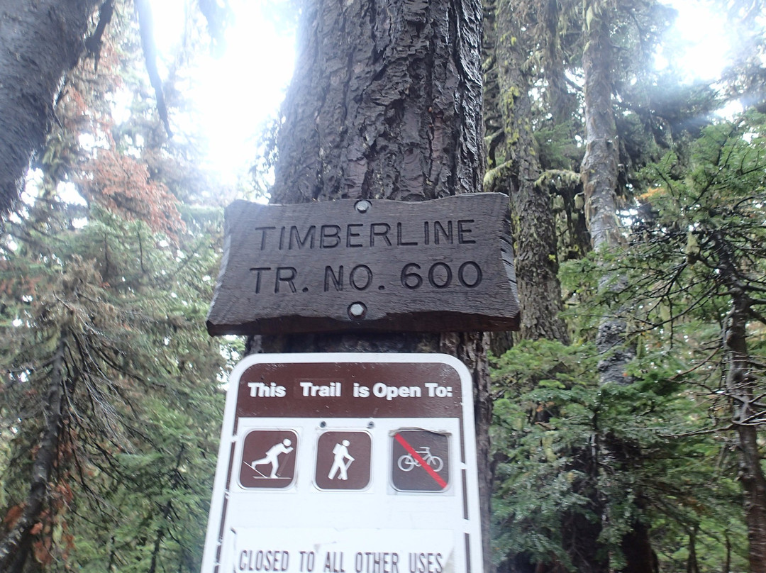 Cooper Spur Hike-胡德里弗必去景点