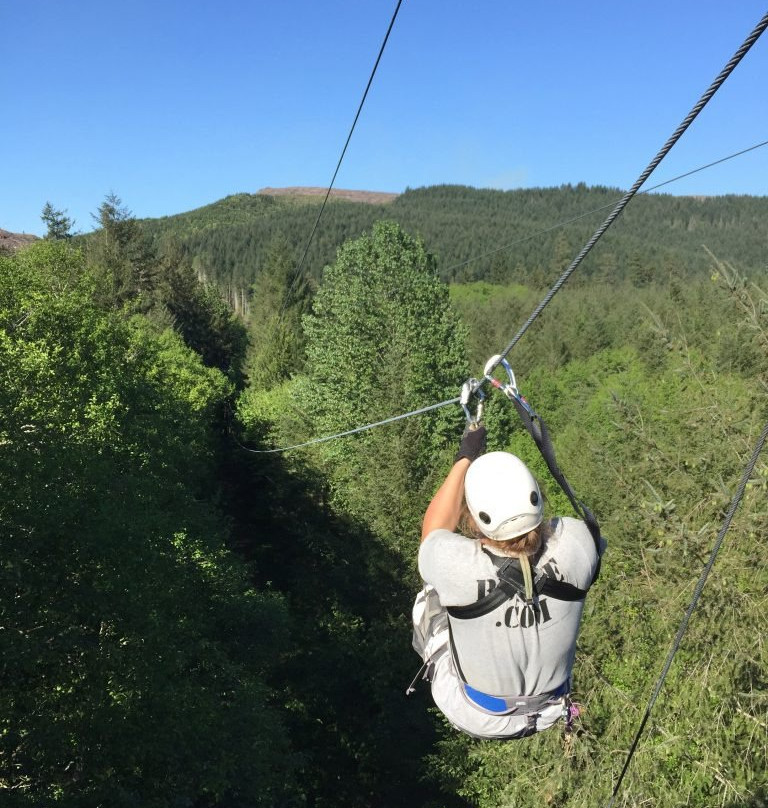 The Zipline X景点图片