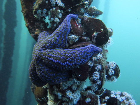 Haliotis Porto-马托西纽什必去景点