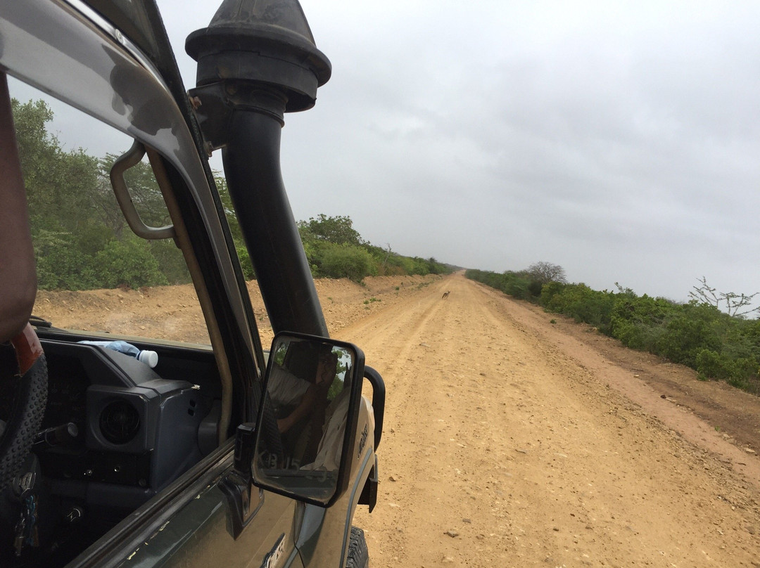 Kenya Safari Explorer-马林地必去景点