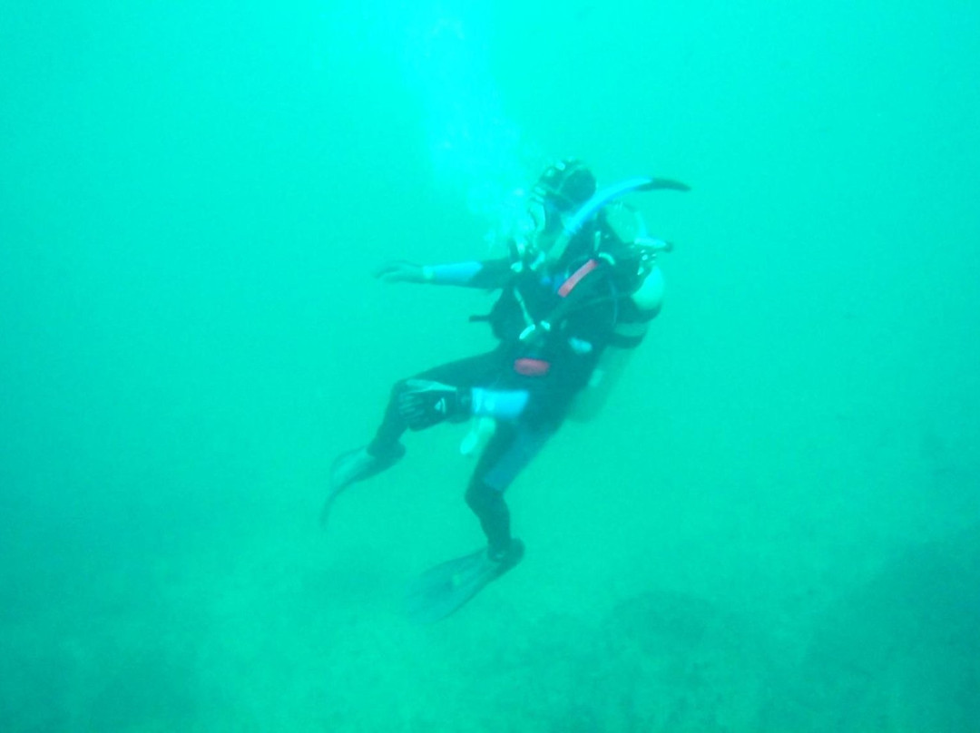 Baja Diving Adventures景点图片