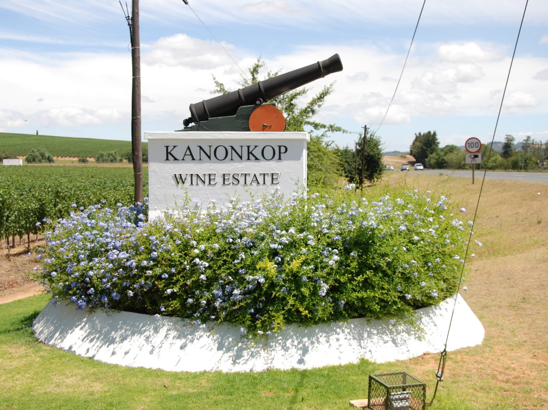 Kanonkop Wine Estate景点图片