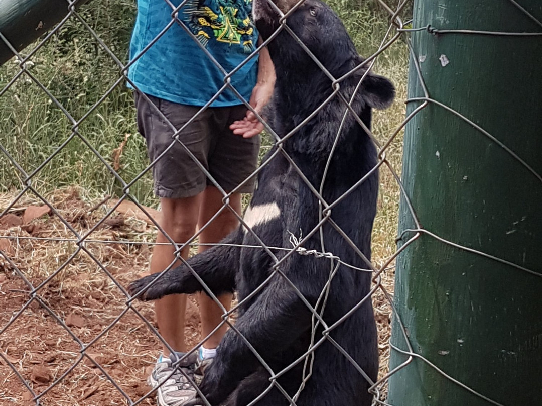 MBIDI Resort & Animal Sanctuary-米德尔堡必去景点