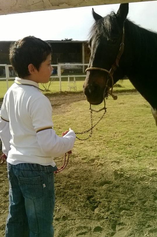 Granja Integral San Martin-墨西哥城必去景点