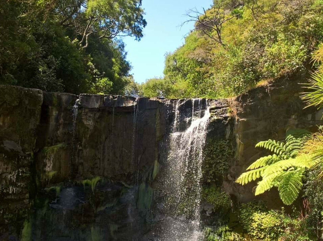 Mokoroa Falls景点图片