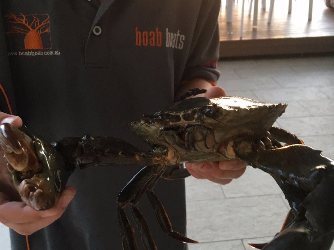 Boating Planet-雷德克利夫必去景点