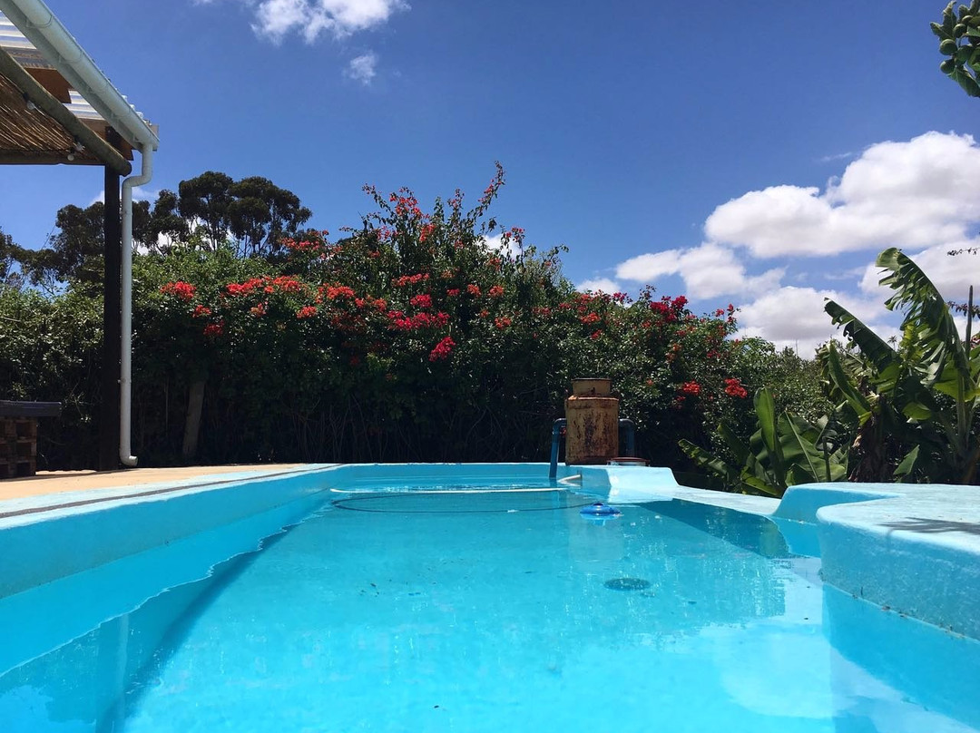 Elim酒店住宿-The Napier Country House