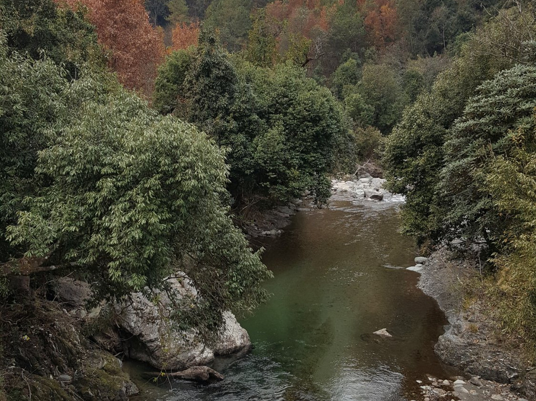 Mount Saramati-Tuensang必去景点