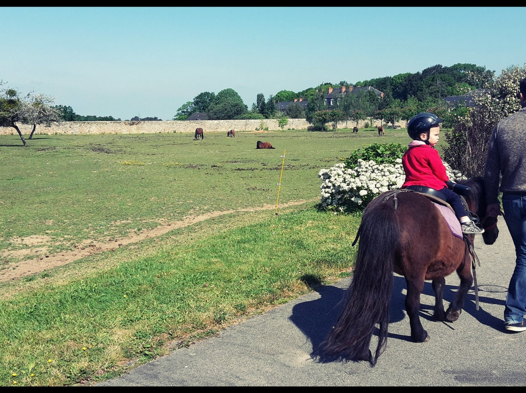 Les Poneys du Clos景点图片