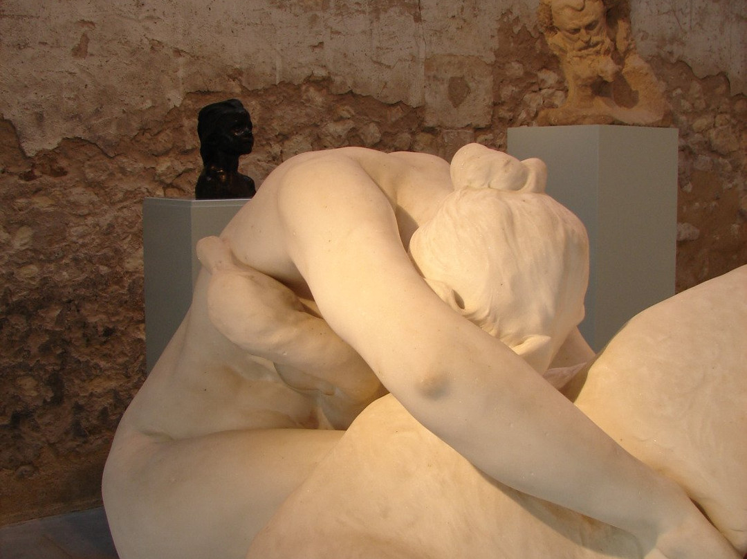 Musée Jules-Desbois景点图片