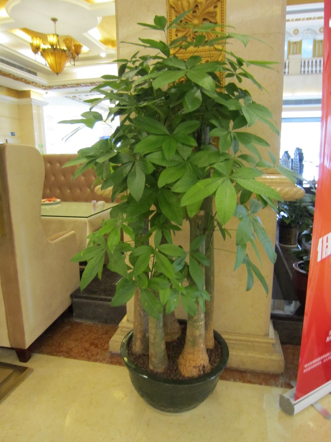 深圳维也纳酒店民治店-餐饮