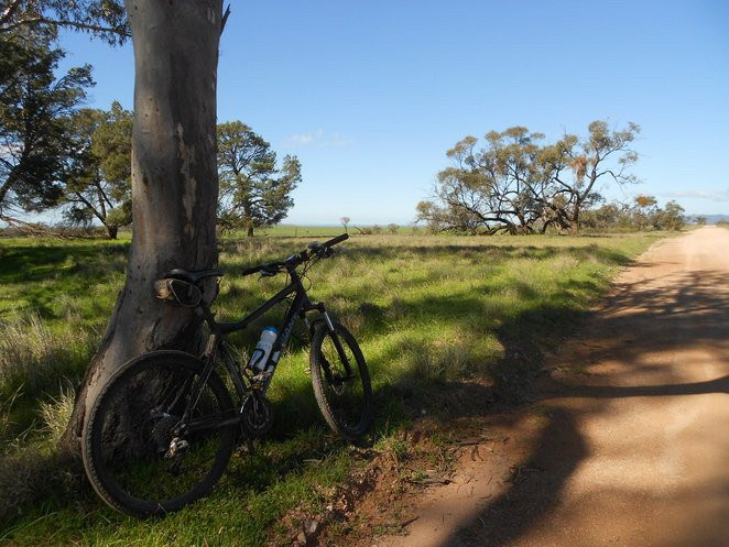 Melrose to Wilmington Cycle and Walking Track景点图片
