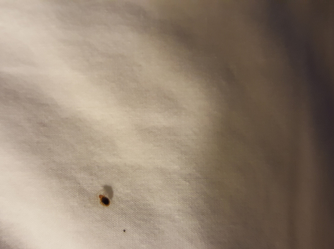 Texas Lodge Kenedy主图