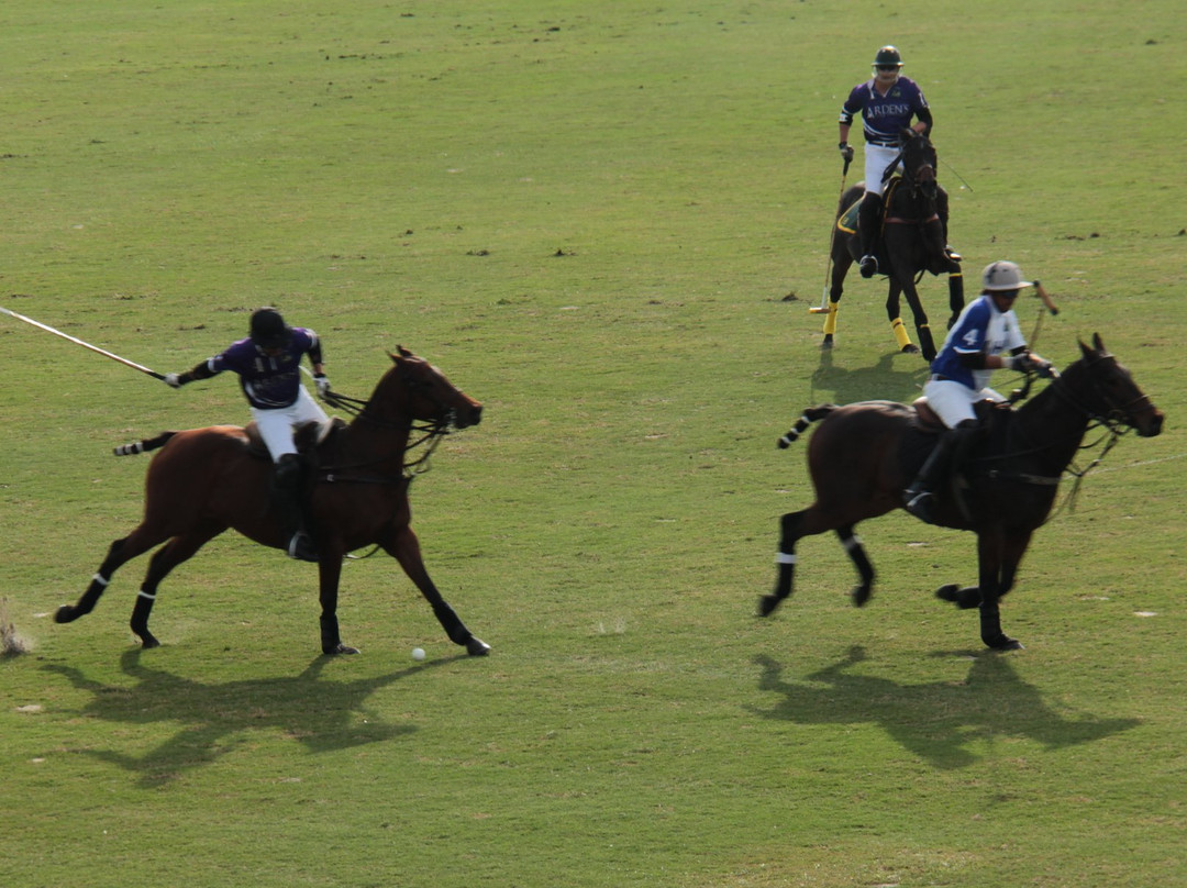 The Villages Polo Club-群村必去景点