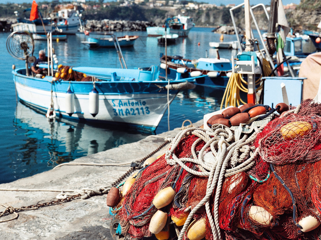 Porto Di Corricella景点图片