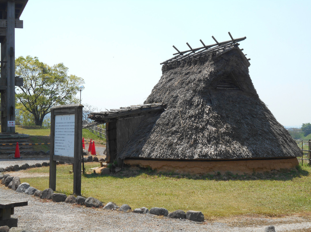 Hill of Hoki Kodai Park景点图片