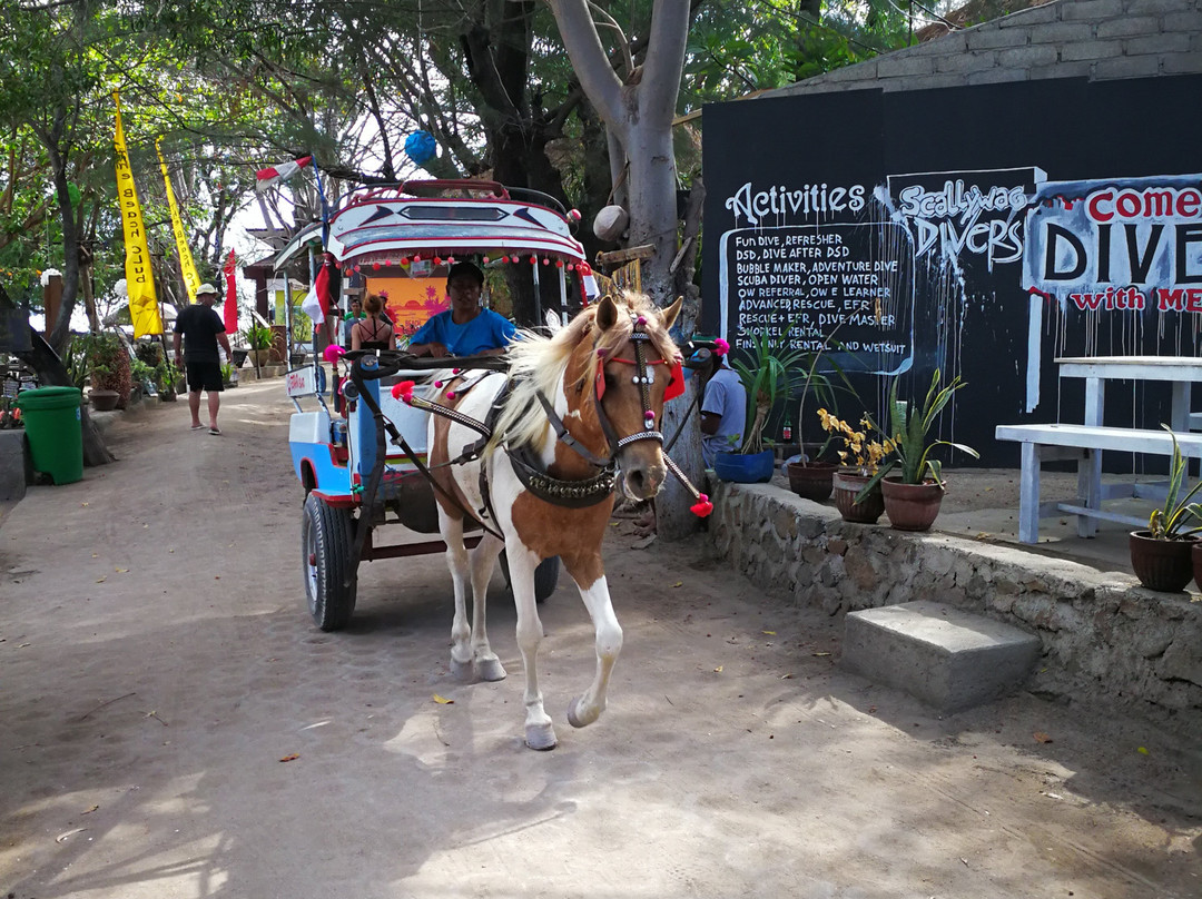 Ari Lombok Hafala-龙目岛必去景点