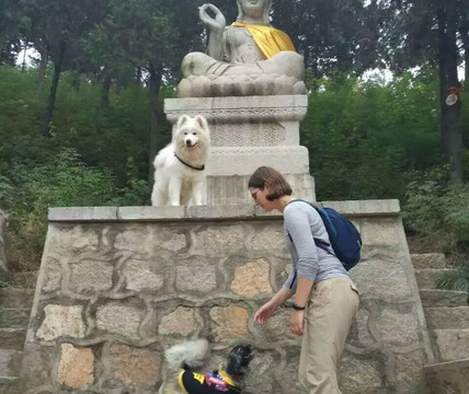 蟒山森林公园-北京市必去景点