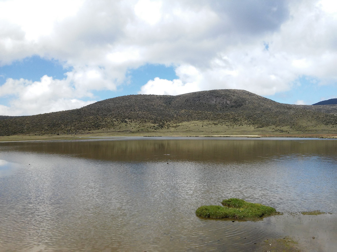 Laguna de Limpiopungo景点图片