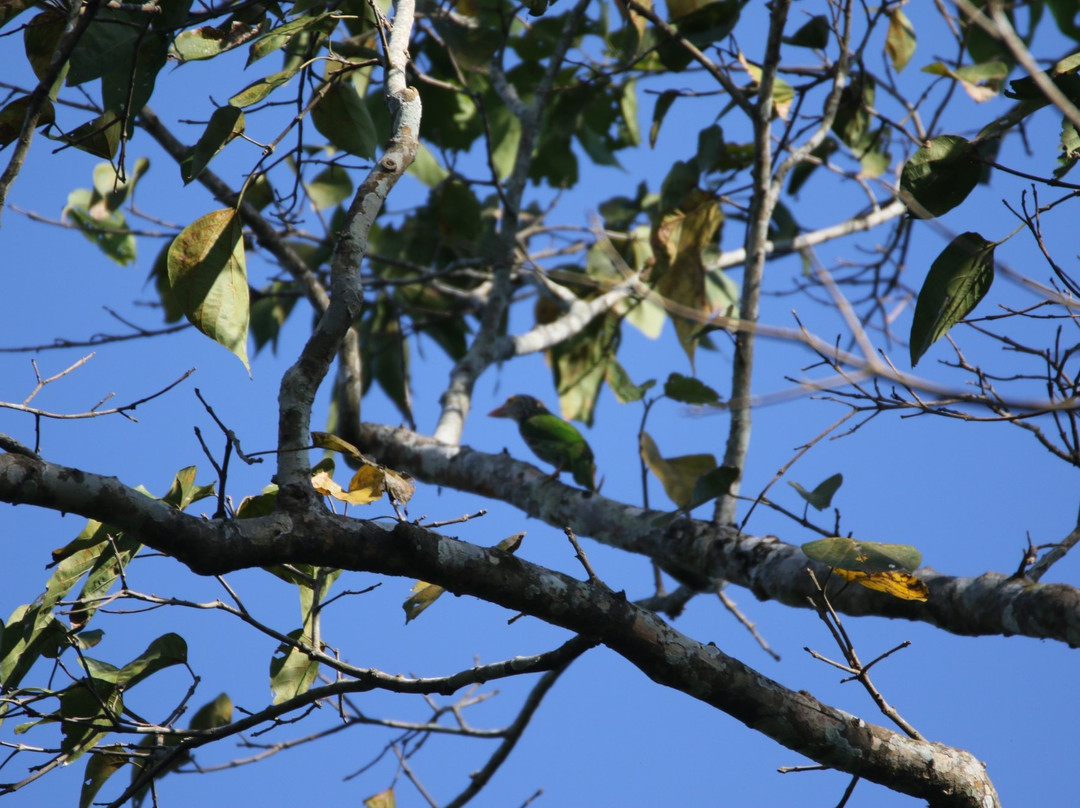 Bura-Chapori Wildlife Sanctuary景点图片