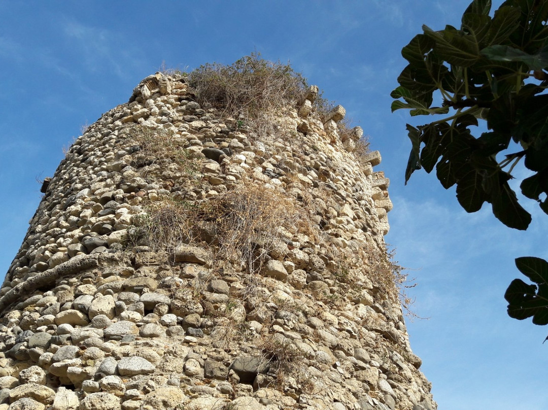 Torre del Cavallaro景点图片