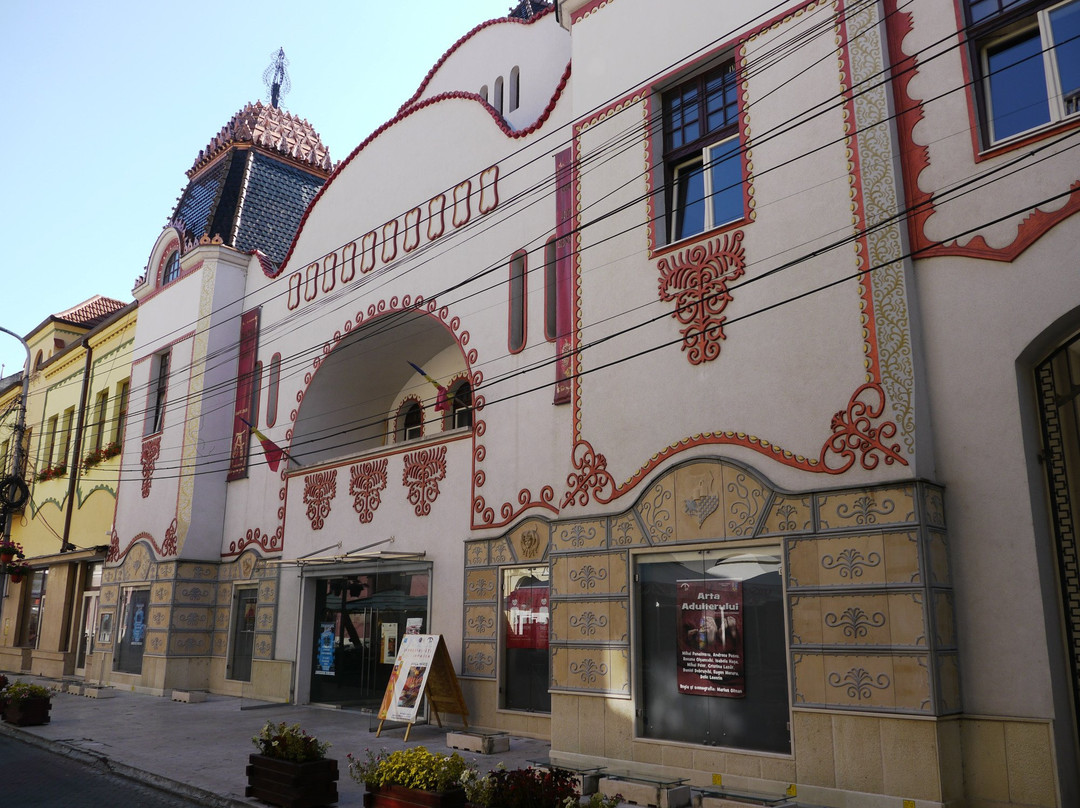 Teatrul de Arta Deva景点图片