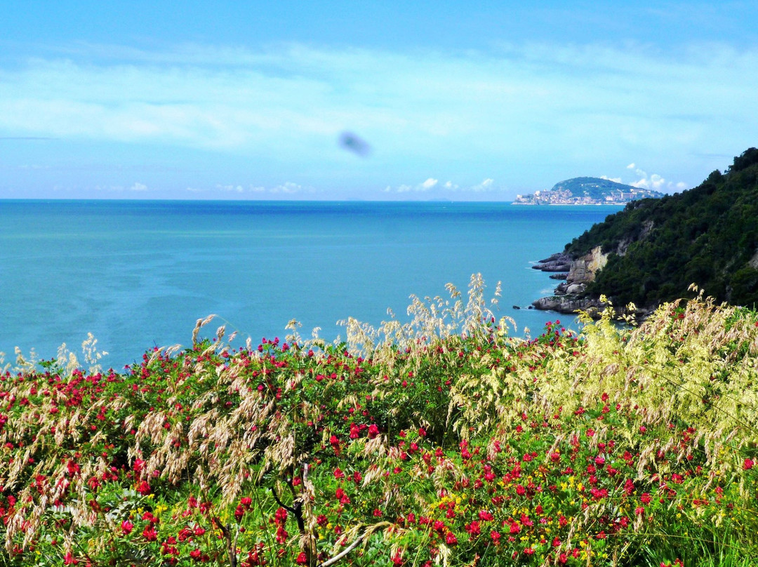 Formia旅游景点-Parco Di Gianola E Monte Di Scauri