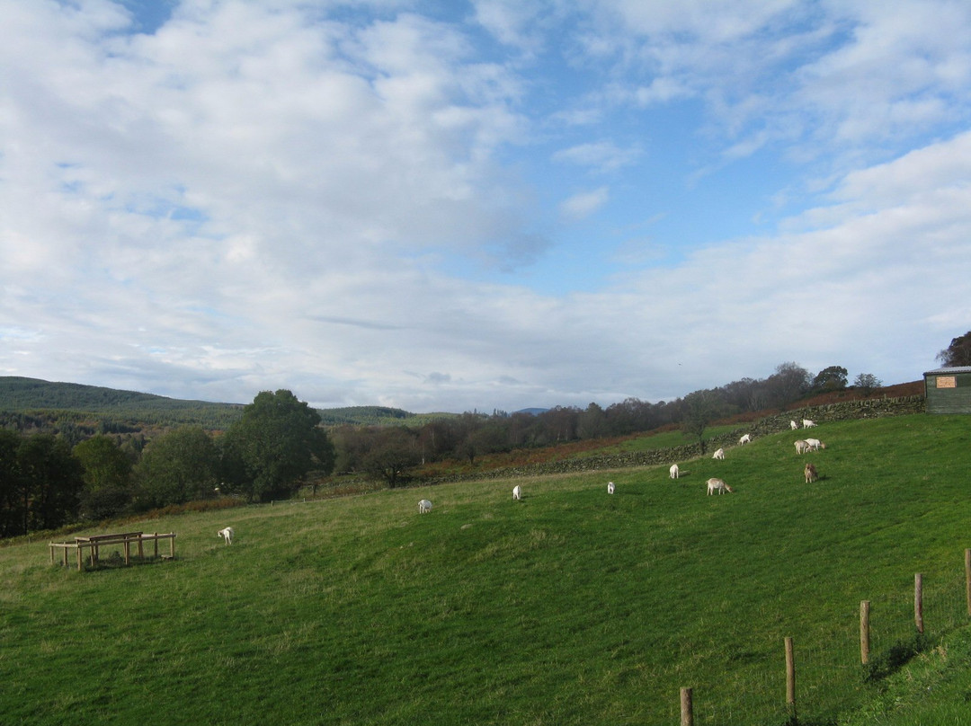 Laurieston旅游攻略图片