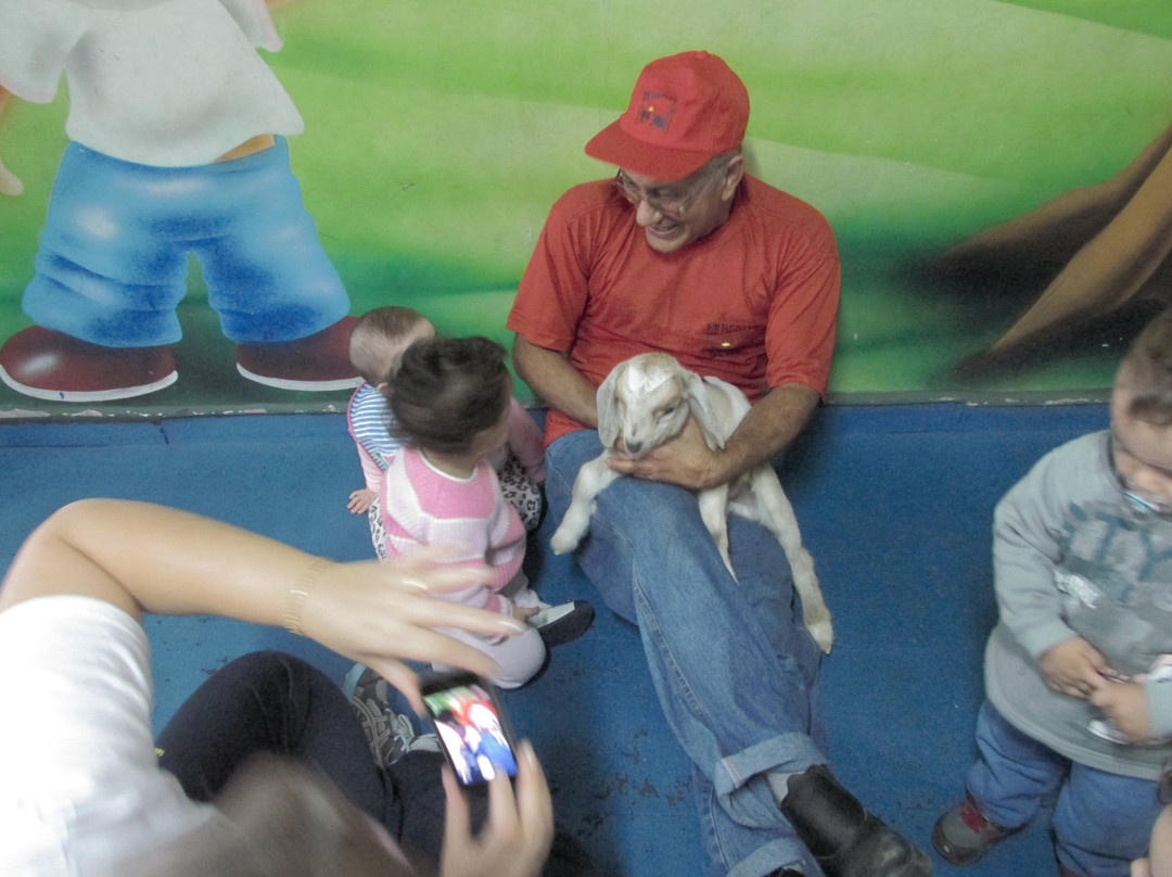 Mini Fazenda Nose-Cotia必去景点