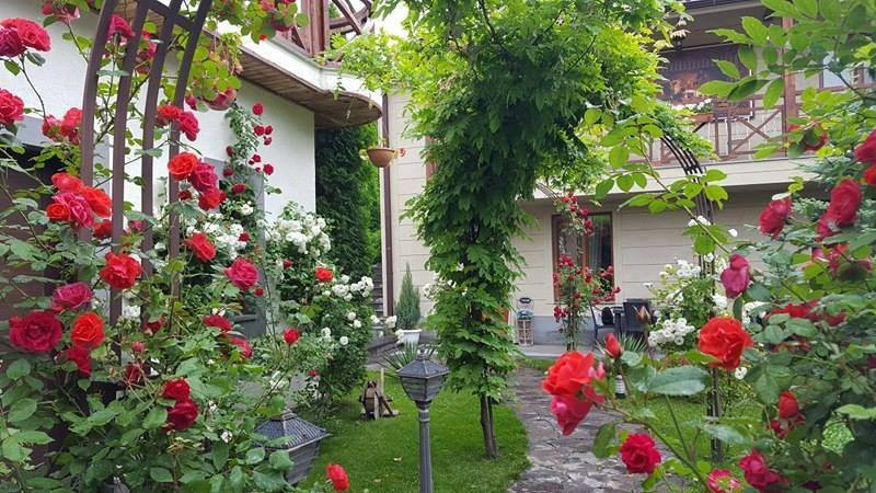Aya Maria Wellness SPA Resort主图