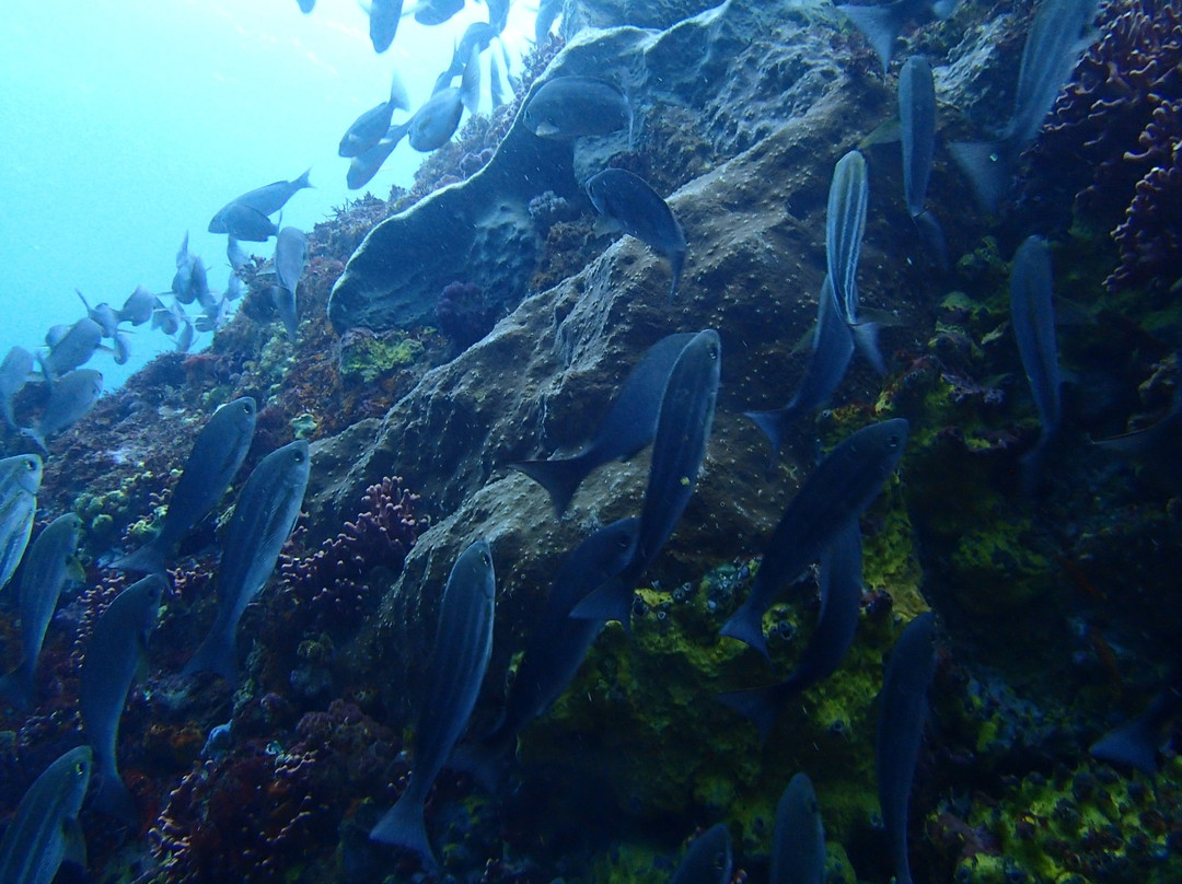 Toshiki Beach-大岛町必去景点