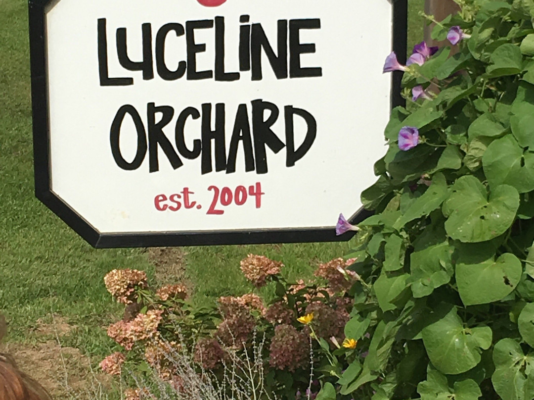 Luceline Orchard-Watertown必去景点