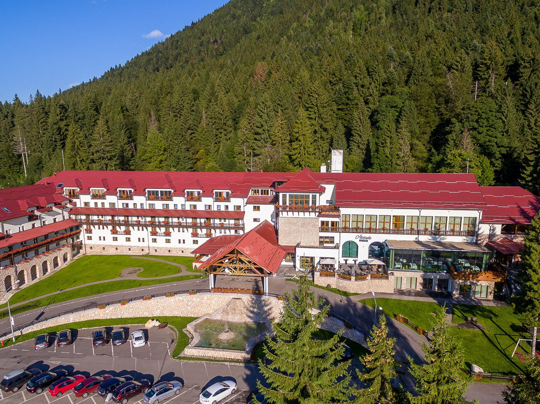波亚纳布拉索夫酒店住宿-Ana Hotels Sport Poiana Brasov