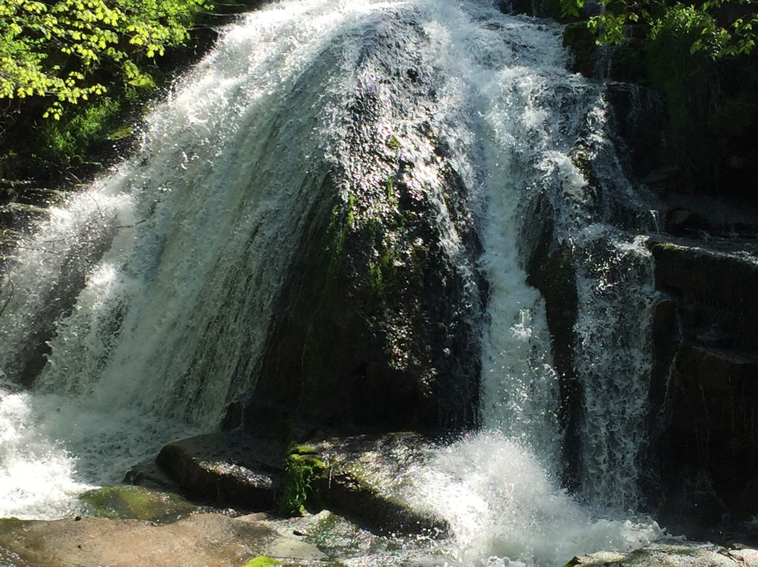 Roaring Run Falls-Eagle Rock必去景点