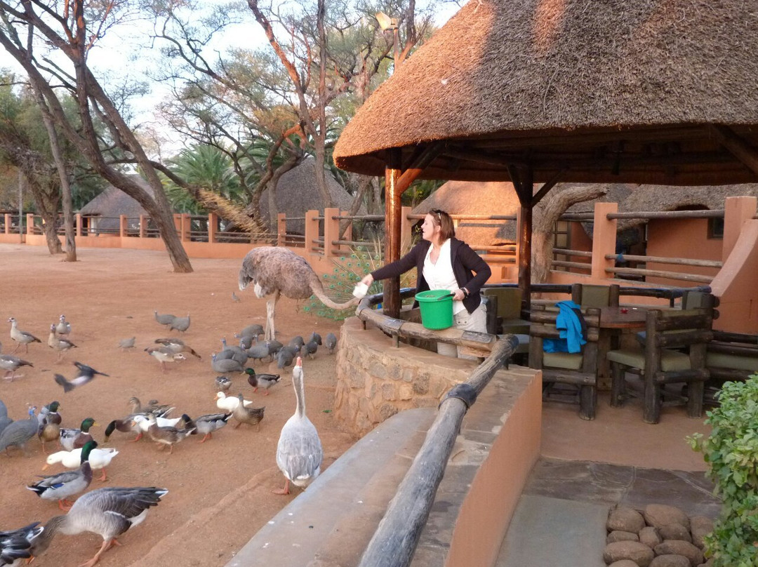 Omaruru Game Lodge