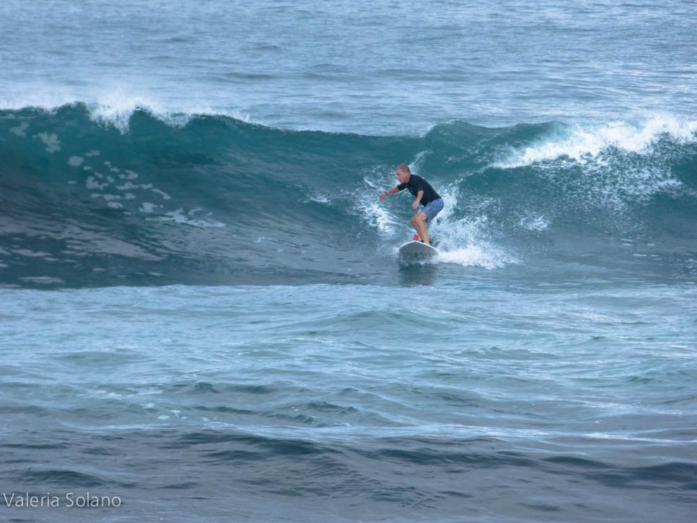 Soul Surf Surfing School景点图片