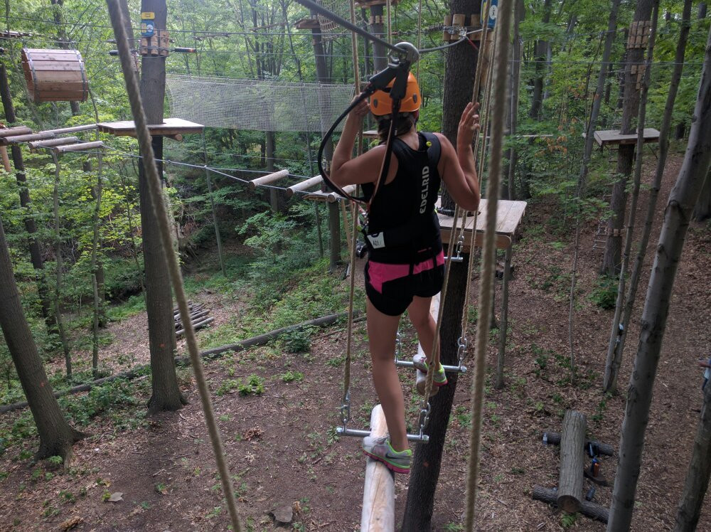 Radical Lines Aerial Adventure Park景点图片